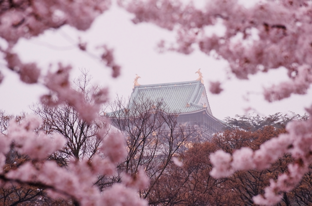 春雨に煙る大阪城