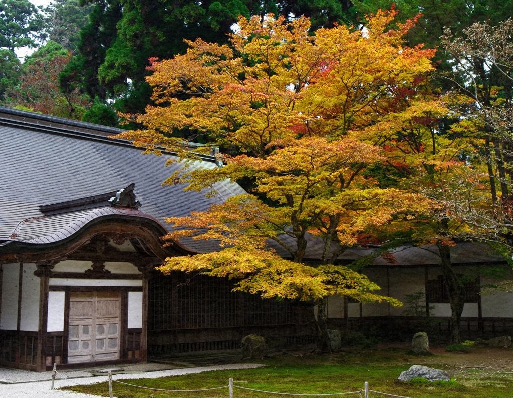 比叡山の秋 