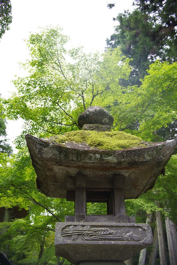 法多山3