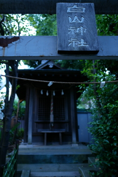 帰り道に見つけた神社