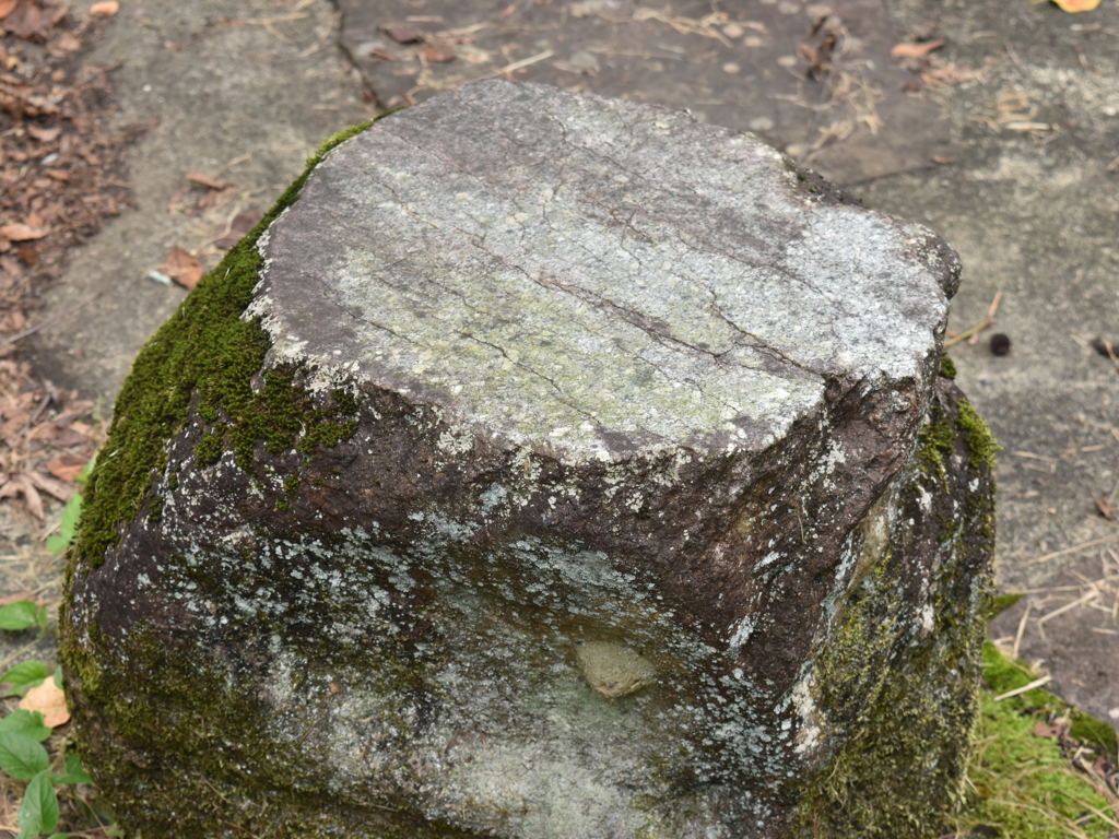 遥か時の彷徨へ