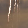 花火・Benchmark (1)