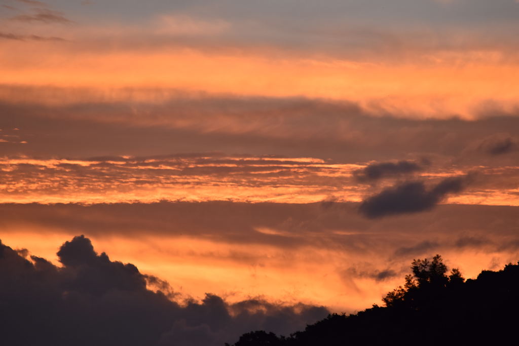 オレンジ色に輝く夕日