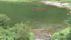 緑水の底