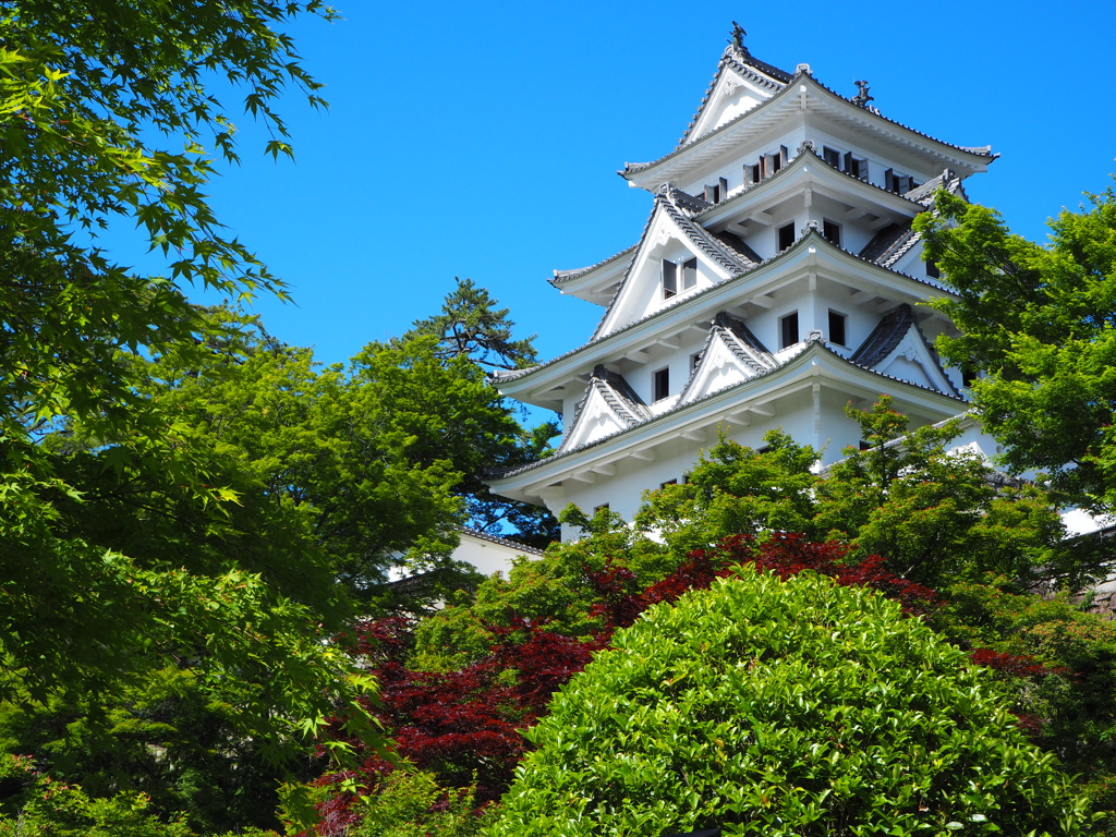 新緑の郡上八幡城