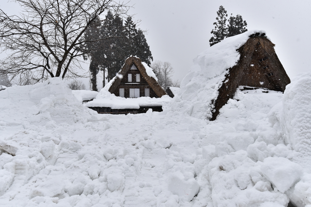 豪雪