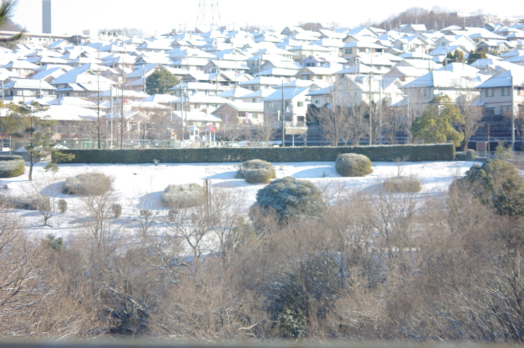 雪の朝1