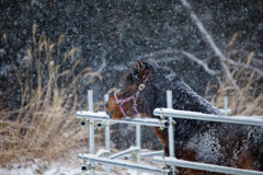 寒空を見つめる