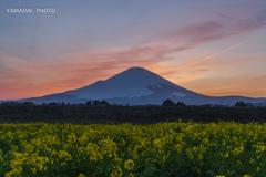 春の夕暮れ