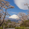 賑やかな春の空