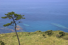 隠岐の島。