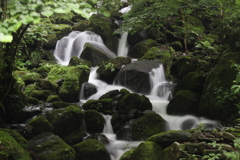 雨滝。