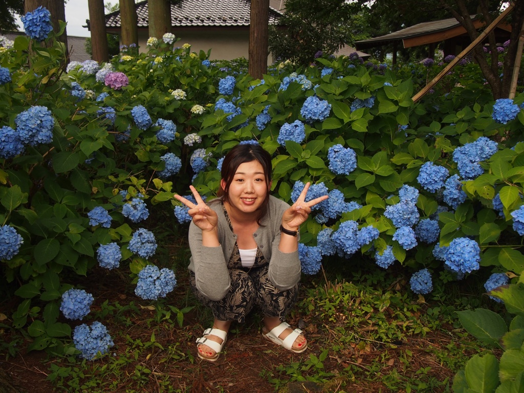 紫陽花に囲まれて、、