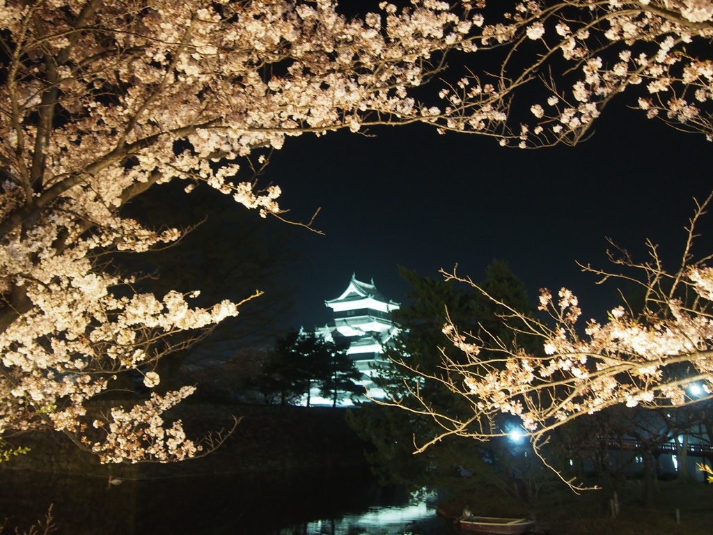 桜と城