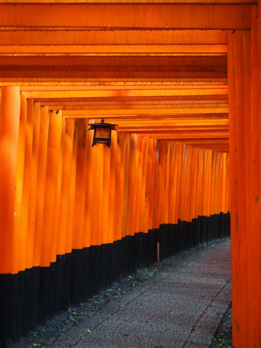 千本鳥居