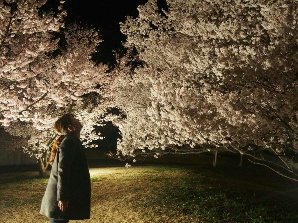 桜にかこまれて