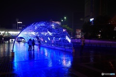 Blue light tunnel