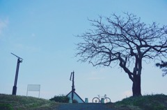 志賀島