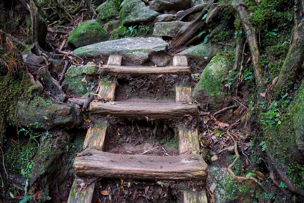 屋久島旅2