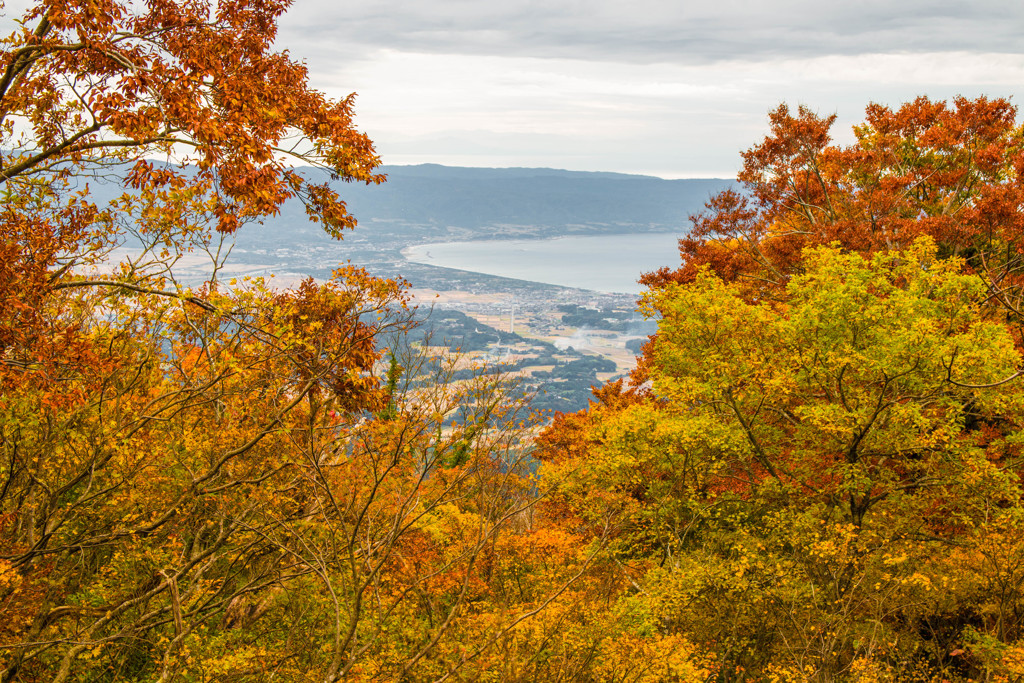 金北山の紅葉　1