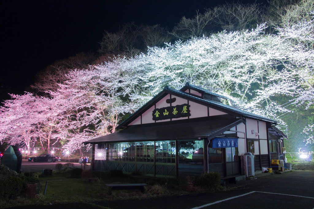 金山茶屋