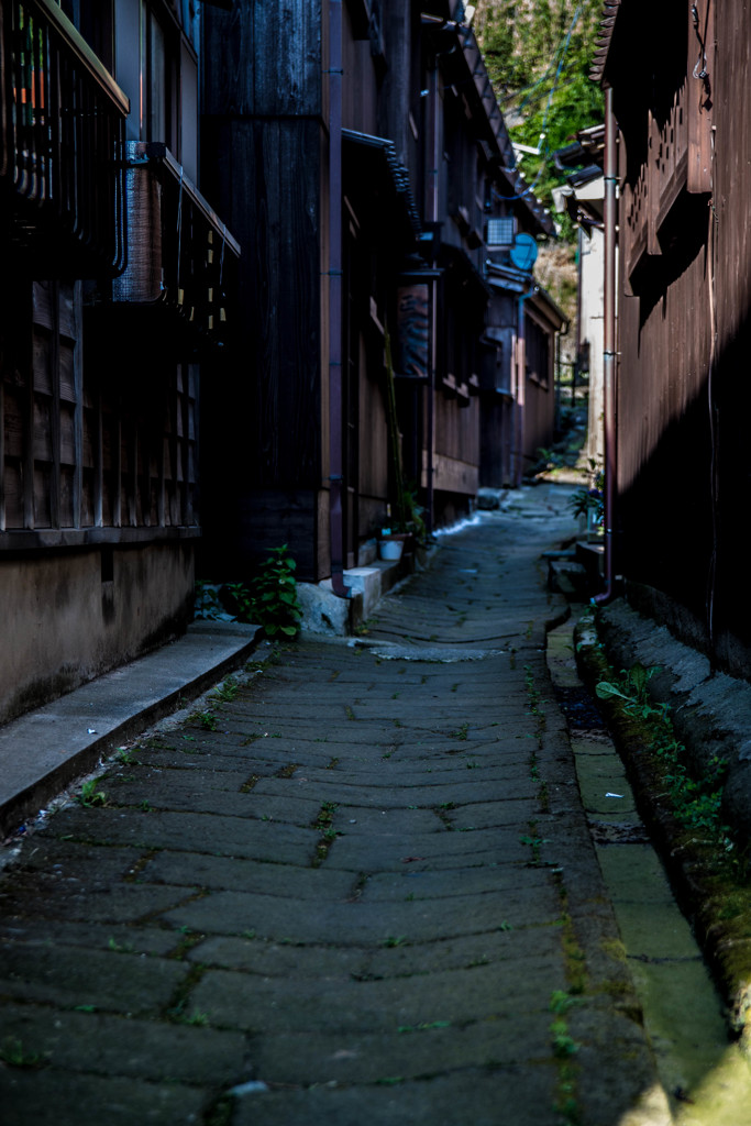 世捨て小路