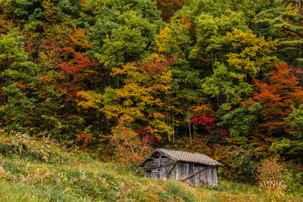 田んぼの小屋　1