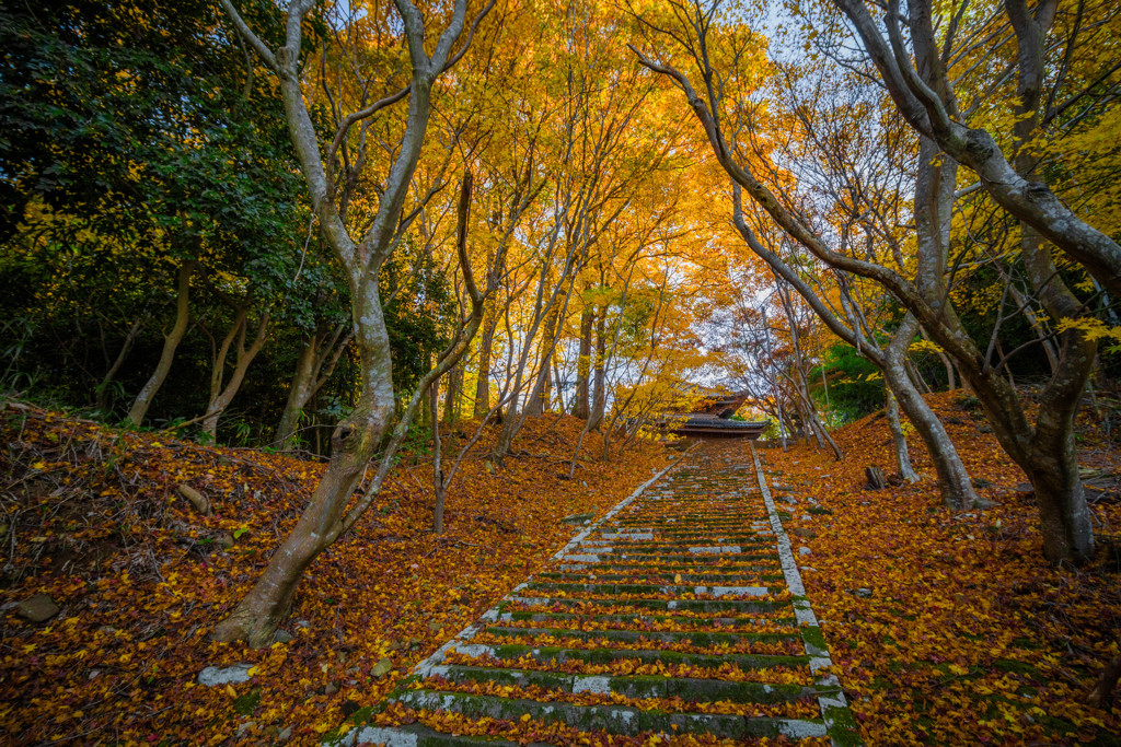  慶宮寺の石段