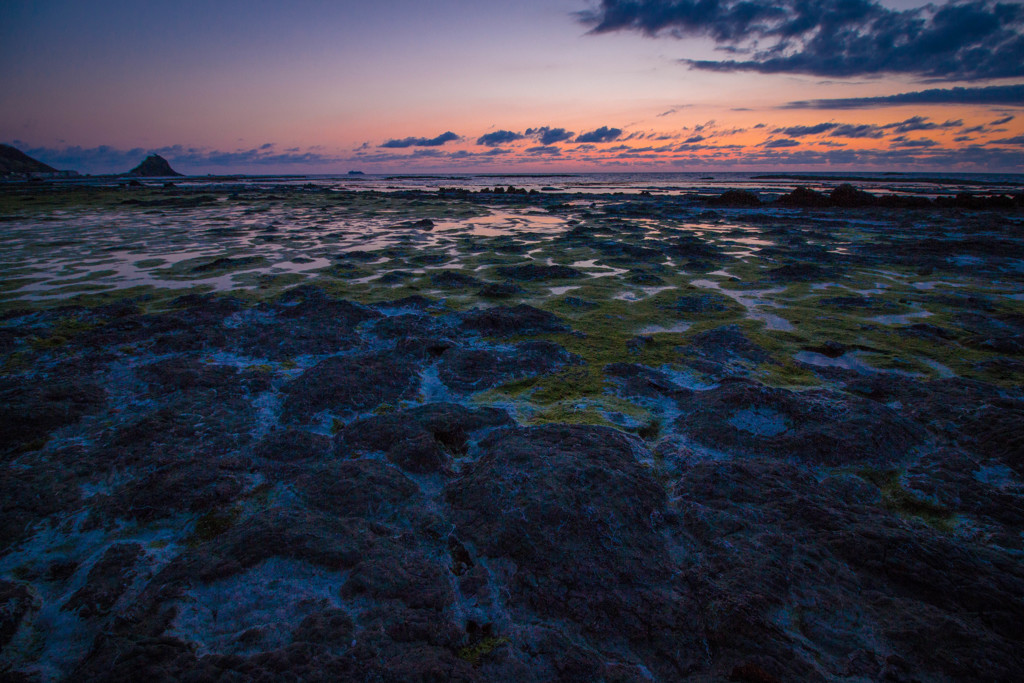 溶岩海岸