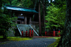 雨の神社