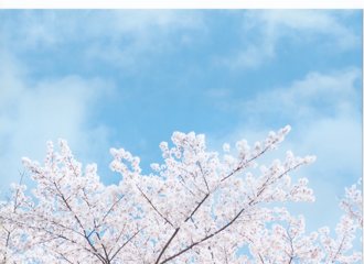 4月1日