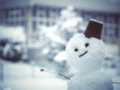 snow man