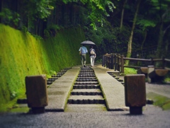 ある雨の日…