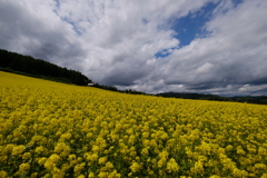 富良野にて15mm