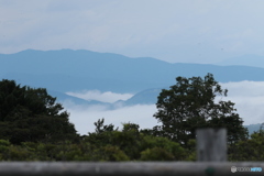 雲海