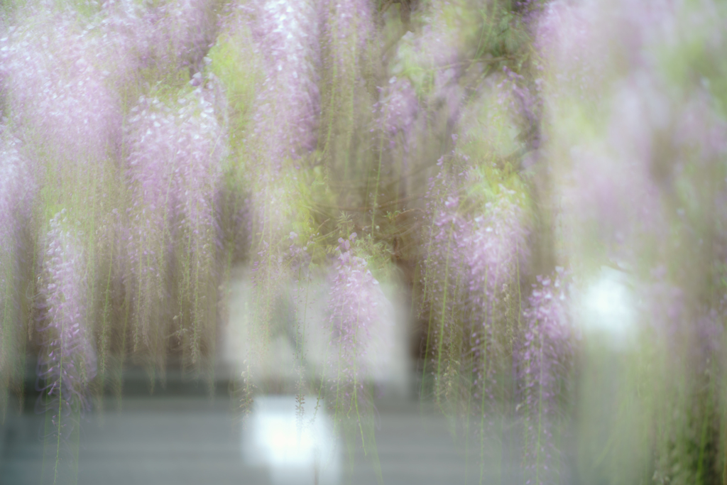 優しく