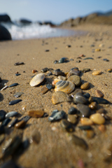 On the beach