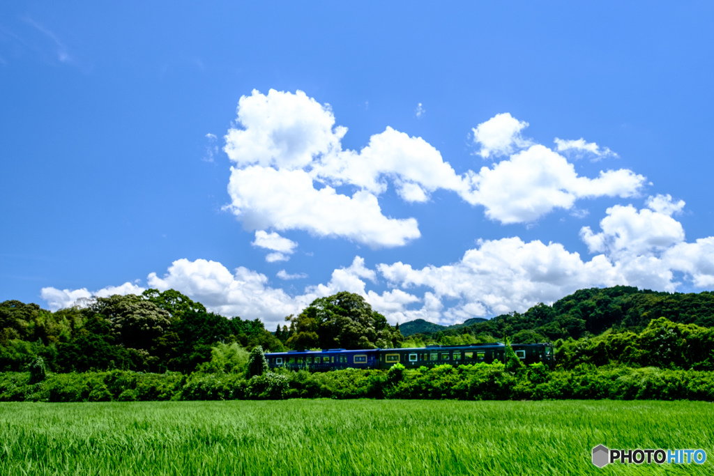 夏の空