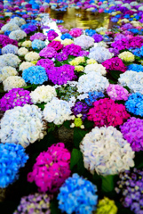 花手水