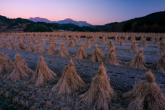 久住山を望む
