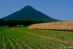 ローカル線