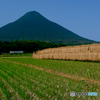 ローカル線