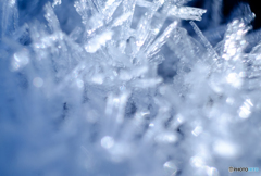 snow