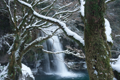 冬景色