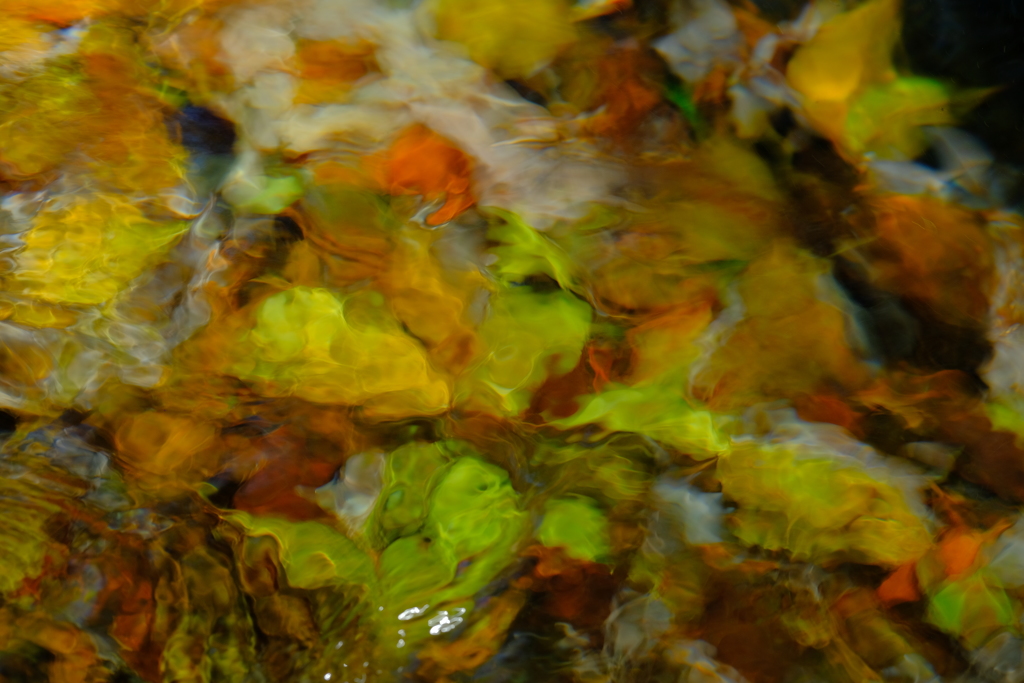SpringWater