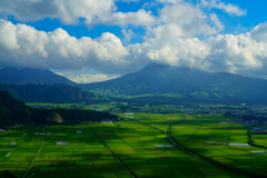 阿蘇平野