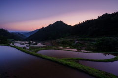 棚田