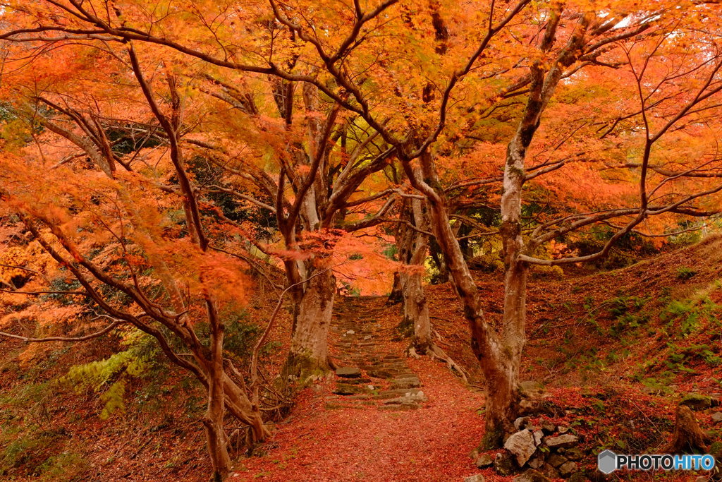 山寺へ