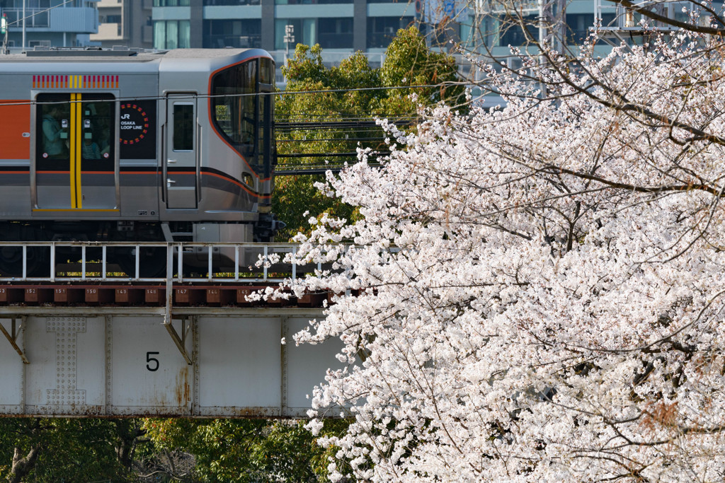 2018 SAKURA TRAIN