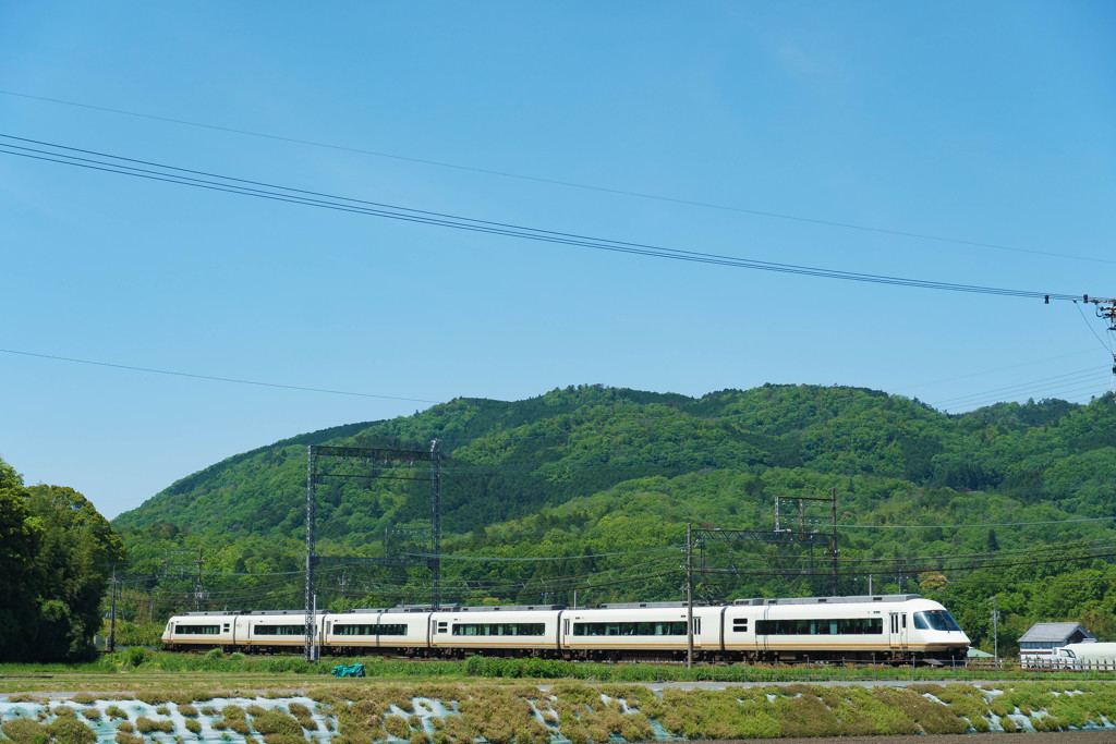 新緑と近鉄特急